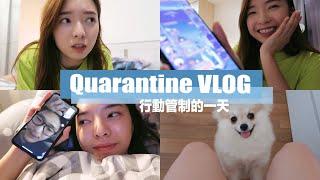 【Quarantine VLOG】 行動管制DAY14 | StephyYiwen