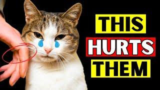 12 Things That Emotionally HURT Your Cat! Be Careful