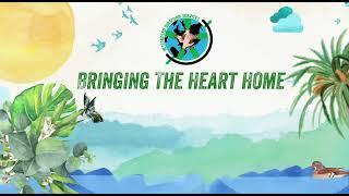 IDS - Heart Back Home Theme Sound (Official Audio Visualizer)