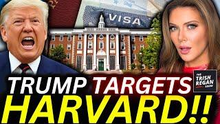 Trump DEPORTS 1/3 of Harvard Students in SHOCKING New Immigration Crackdown!