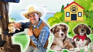 Animal Shelter Tour for Kids  Amazing Cats and Dogs