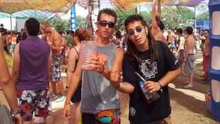 Psytrance Summer 2013 Part 3 - Freedom Festival