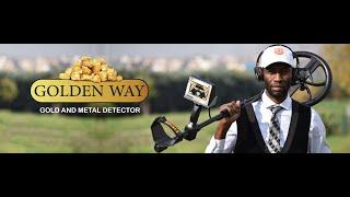 Golden Way device - Gold & precious metals detector