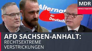 AfD Sachsen-Anhalt: Rechtsextreme Verstrickungen in der Fraktion