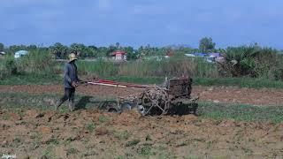 a Lot Fish On Land on Dry Season | Finding Fish in Secret Land after KUBUTA on Dry Season