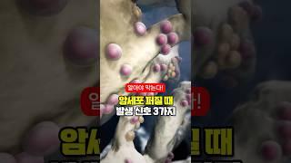 암세포 퍼질 때 나타나는 신호 3가지