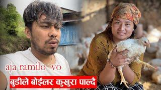 Kukhura bechera  buda palchu  re bude le  कुसुम कुखुरा फममा काम गर्दै ।  Dipak nepali vlog