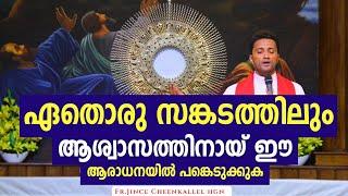 20 Minutes ദിവ്യകാരുണ്യ ആരാധന POWERFUL ANOINTING ADORATION Fr. Jince Cheenkallel HGN