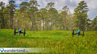 History In Site: Petersburg National Battlefield Park and The Crater