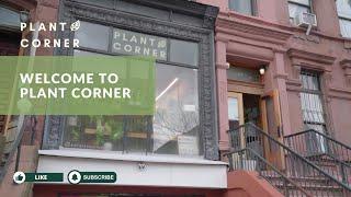 Welcome to Plant Corner NYC