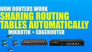 OSPF Between Brands | How Routers Work | CCNA & Network+ Concepts