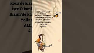 Bu Güzel Duaya amin diyelim #gününduası #dualar #viralvideo #shortvideo #shorts #dualar