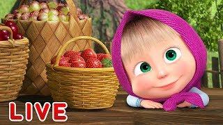 Masha and the Bear  LIVE STREAM  Cartoon live best episodes ️ Маша и Медведь прямой эфир