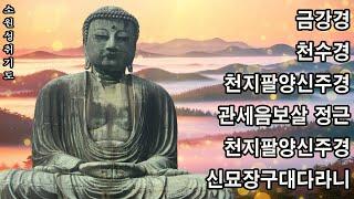  지금 안 들으면 평생 후회!  하루 1번 듣는 소원성취·건강·부자·성공·행운 명상  반야심경·천수경·금강경·천지팔양신주경 대박 주파수불교의 지혜