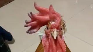 What a beautiful rooster