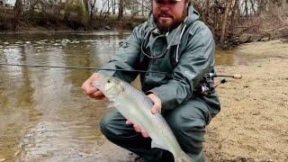 How To Catch Shad Off The Riverbank - Tar River