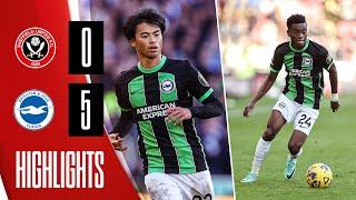 MOTM Mitoma & Adingra double down Blades | Sheffield United 0-5 Brighton | Premier League highlights