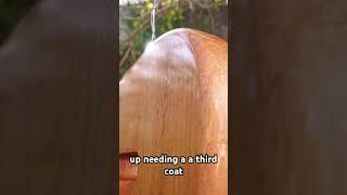 Sealing a Raw wood guitar body for paint! #guitarmaker #guitarworkshop  #guitarist #guitartutorial