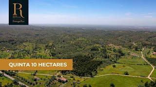 Quinta de 10ha com PIP aprovado, a 14 km de Melides | REF. TG3266