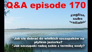 Q&A odcinek 170 - wielkie szczupaki z małego jeziorka - jak je przechytrzyć?