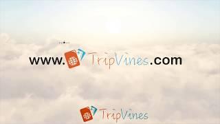 Best Travel Search Engine