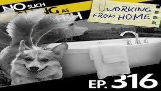 NSTAAF #316: No Such Thing As a Leg Made from Milk