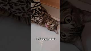 No food? I unleash the beast...........