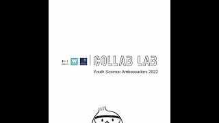 COLLAB LAB PROJECT TEASER