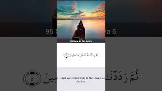 Surah of the day “ At-Tin “ in the voice of mishari #misharyrashidalfasy #engineermahtab4u #quran