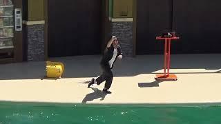 SeaWorld San Antonio Sea Lion & Otter Spotlight 2023