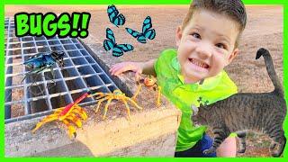 CATCHING BUGS OUTSIDE! Caleb & Mommy GO on a BUG HUNT and Learn about Insects for kids!