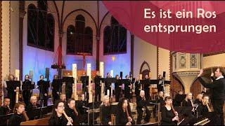 Es ist ein Ros entsprungen | Praetorius| Berliner Blockflöten Orchester