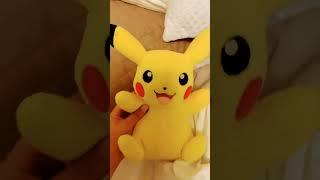 Pikachu stupid