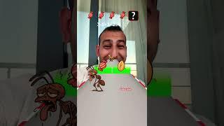 Ant battle
