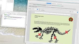 4D Write Pro - Image in absolute position