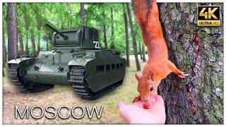 Moscow Victory Park and Museums. Walking Tour with Russian Squirrels 4K