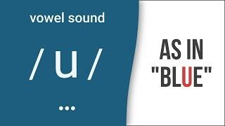 Vowel Sound / u / as in "blue"- American English Pronunciation