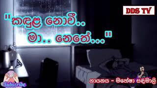 කඳුළ නොවී මා නෙතේ.. (හිතට තදින් දැනෙනා) | Kandula Nowi Maa Nethe - DDS TV Lyrics Video