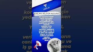 Bunları Biliyor Musunuz? DİRİLİŞ YEM KATKI MADDELERİ FARK YARATIR. #hayvancılık #büyükbaş #küçükbaş