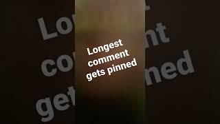 Longest comment gets pinned