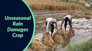 Unseasonal Rain Damages Crop In Maharashtra, Rajasthan | Business News | CNBC-TV18