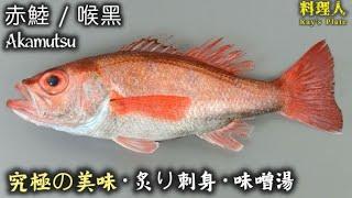 【一魚二味】日本貴價白身魚如何處理！寿司職人 ‍ 劏魚起柳重點分享｜推介．赤鯥火炙刺身．海鮮味噌湯