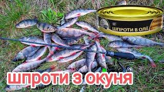 Будуть ШПРОТИ з ОКУНЯ / приманка і проводка / рибалка ультралайт 2023 на водосховищі