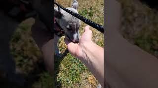 Her first recall 