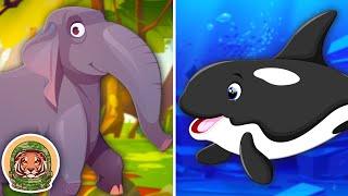 Learn About The SMARTEST Animals! | Animal Songs For Kids | KLT WILD