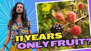 11 Years of Eating ONLY FRUIT? Here's What's HAPPENED