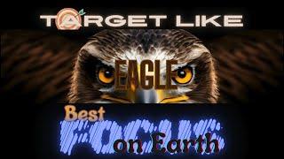 Target Like Eagle: Best Focus On The Earth