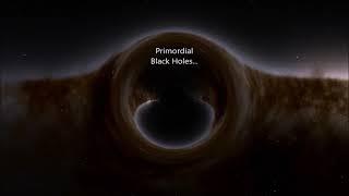 Primordial Black Holes?