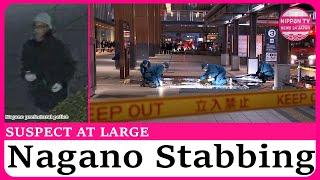 Police release images of suspect in fatal stabbing at Nagano Station