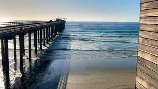 Live View - Pier At La Jolla Shores - Ellen Brown Scripps Memorial Pier